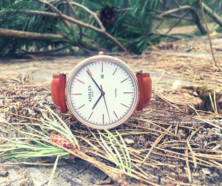 10% off your first luxury watch with timeless design 10% off an Ansley luxury handcrafted watch