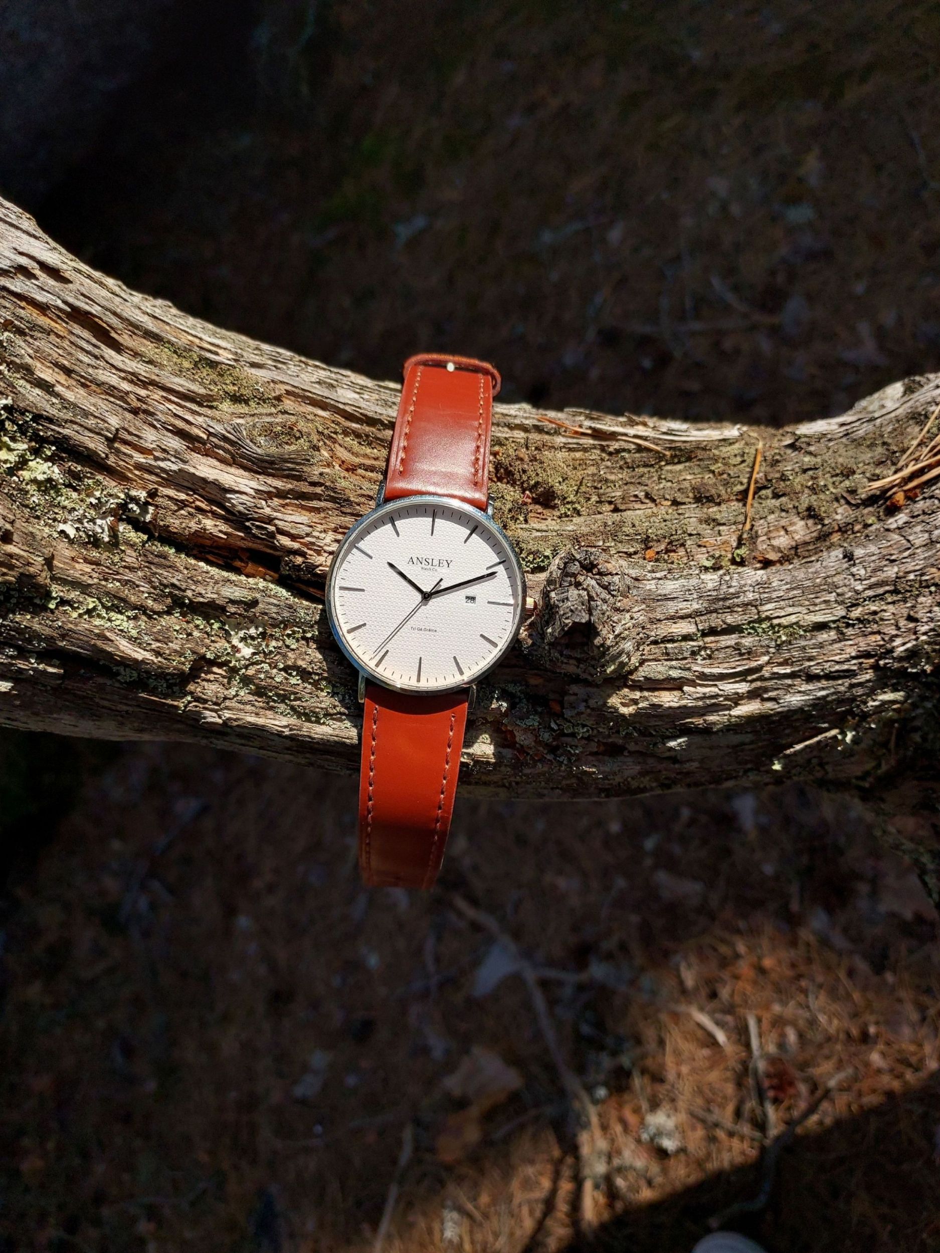 Ansley Watch with leather strap resting on a tree branch in a forest. Ansley Watch with leather strap resting on a tree branch in a forest.